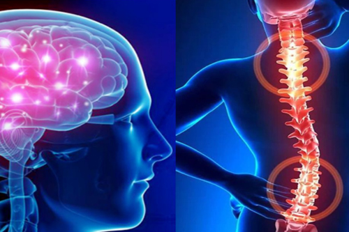 brain and spine specialist mira road
